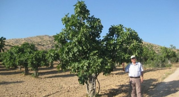 O Taş Ocağı Malzeme Temininden Sonra Kapatılacak