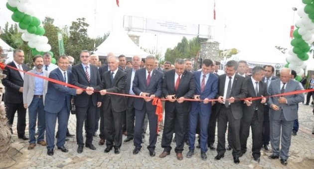 Ödemiş Süs Bitkileri Ve Fidan Sergisi 11. Kez Açıldı