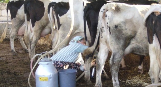 Ödemiş Ticaret Borsası’nda İlk 6 Ayın Lideri Süt