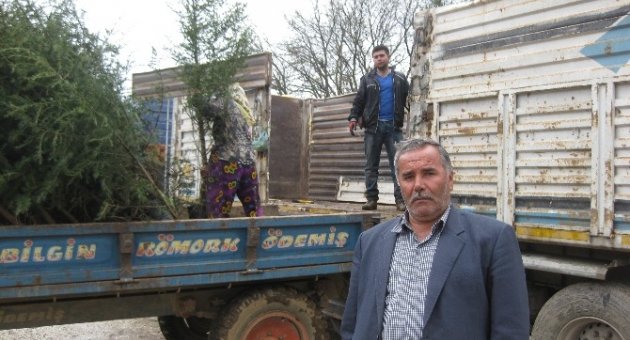 Ödemiş, Türkiye’deki Fidan Üretiminin Yarısını Karşılıyor