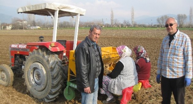 Ödemişli Patates Üreticisi, Ilık Havaları Değerlendiriyor