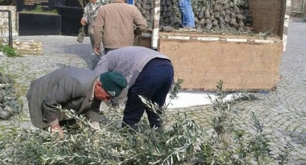 Ödemişli Üreticiye 117 Bin Fidan Dağıtıldı