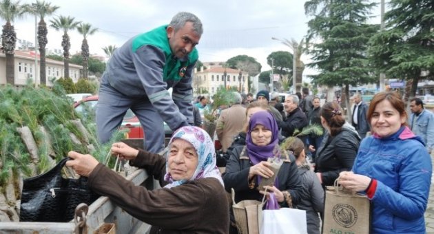 Ödemiş’te Çam Fıstığı Ve Kestane Fidanı Dağıtıldı