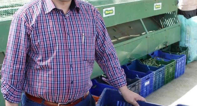 Ödemiş’te Salatalık Üreticisi İkinci Hasat İçin Gün Sayıyor