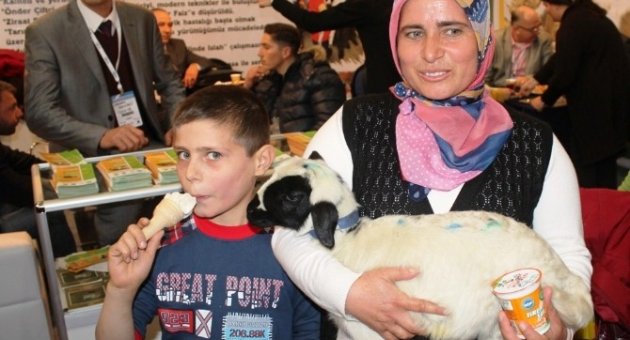 Oğlunu Kaybetti, Kuzunun Sahibi Oldu