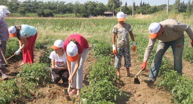 Öğrenciler Tarım Kampına Akın Etti