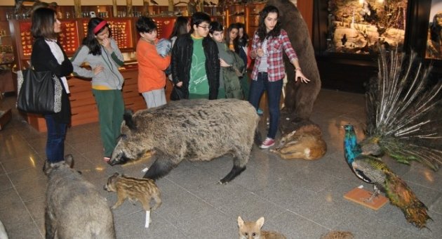Öğrencilerin Zooloji Merakı