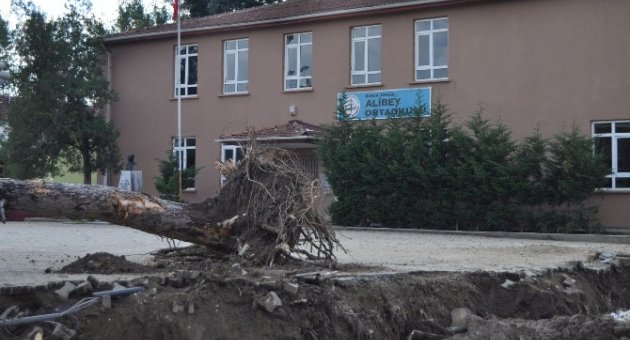Okul Bahçesindeki Ağaçların Kesilmesine Tepki