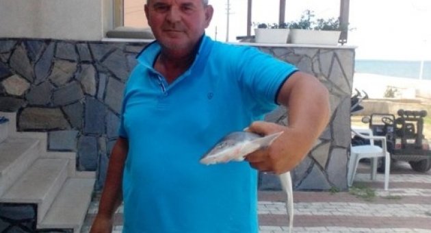 Oltayla Köpek Balığı Yakaladı