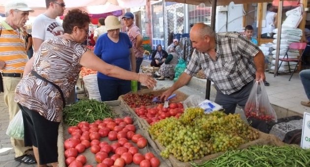 Organik Tarım Çiftçinin Umudu Oldu