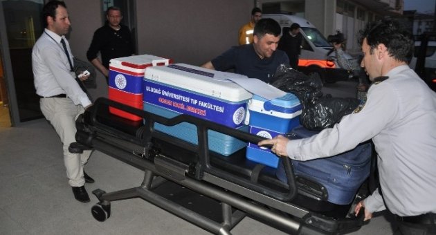 Organları İle Üç Hastaya Umut Oldu