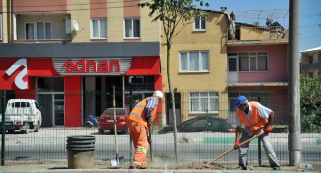 Orhangazi Ve Büyükşehir Belediyeleri Yol Kenarlarına 400 Ağaç Dikti