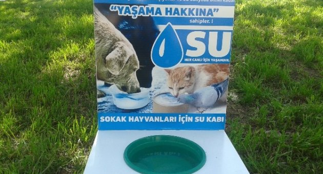 Orhangazi’de Sokak Hayvanlarına Suluk