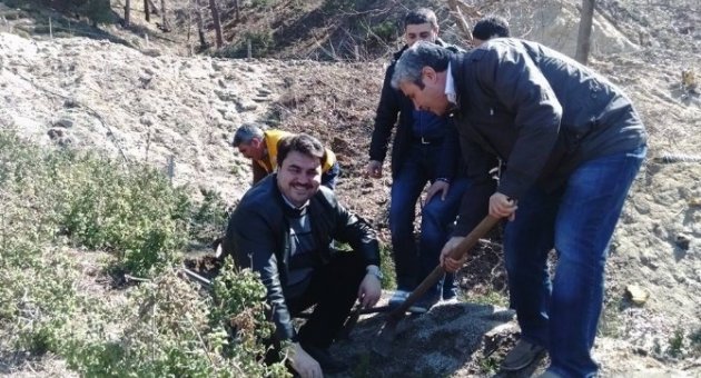 Orman Haftası Havran’da Kutlandı