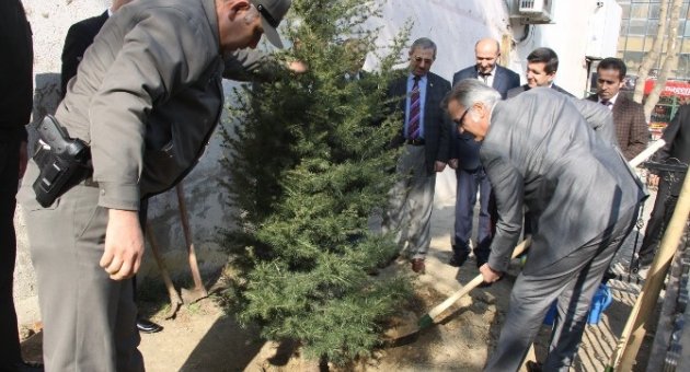 Orman Haftası Kutlanıyor