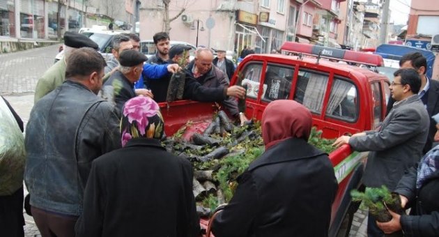 Orman İşletmesinden Bedava Fidan