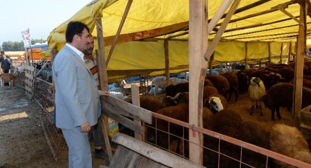 Osmangazi Belediyesi Kurban Bayramı’na Hazır