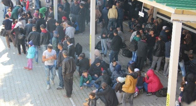 Otobüs Ağaca Çarpınca 350 Mülteci Yakalandı