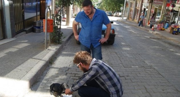 Otomobilin Ezdiği Yaralı Köpeğe Vatandaş Sahip Çıktı