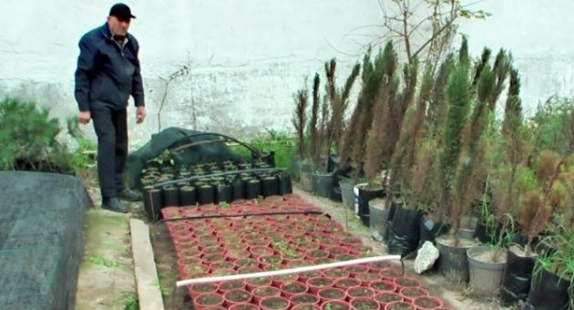 (özel Haber) Anıtkabir’den Getirdiği Fidan Tohumlarıyla Çiftlik Kurdu