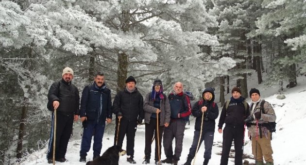 (özel Haber) Aşklarını Zirveye Taşıdılar