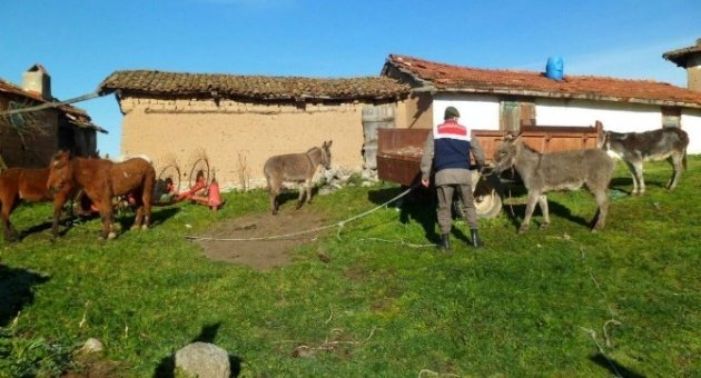 (özel Haber) At Eti Skandalına 30 Yıla Kadar Hapis Talebi