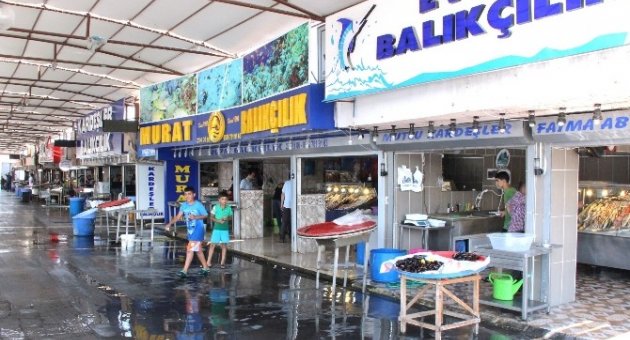 (özel Haber) Balık Fiyatları Altını Solladı