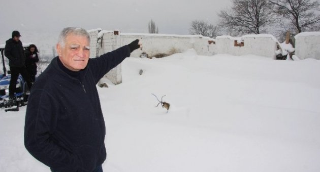 (özel Haber) Besicilerin Hibe Desteği Talebi