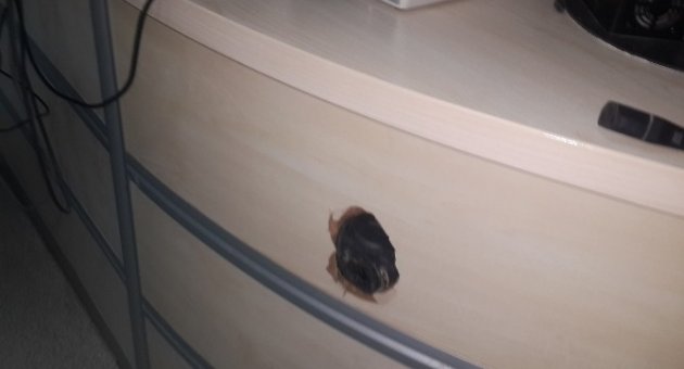 (özel Haber) Bursa’da Çocukları Ölen Anne Baba Hastaneyi Adeta Savaş Alanına Çevirdi