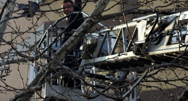 (özel Haber) Dallara Takılan Güvercini İtfaiye Kurtardı