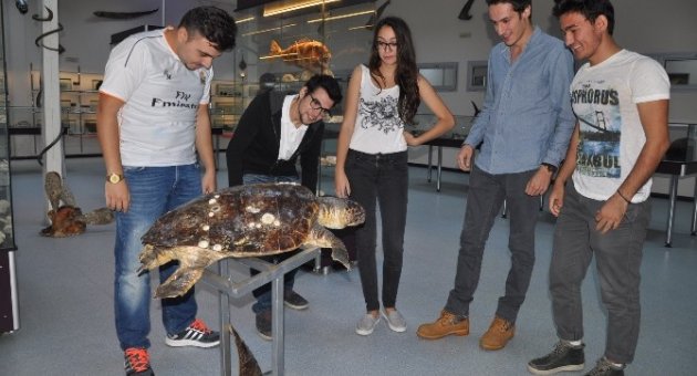 (özel Haber) Denizde Yaşayan Canlıların Müzesi
