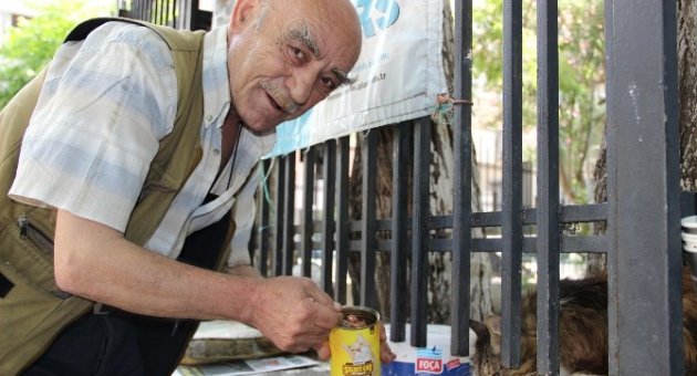 (özel Haber) Depremden Kurtuldu Hayata Kedilerle Tutundu