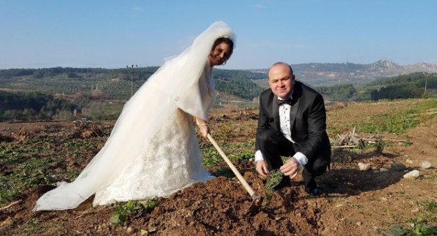 (özel Haber) Düğünden Önce Gelinlik Ve Damatlıkla Fidan Dikmeye Koştular