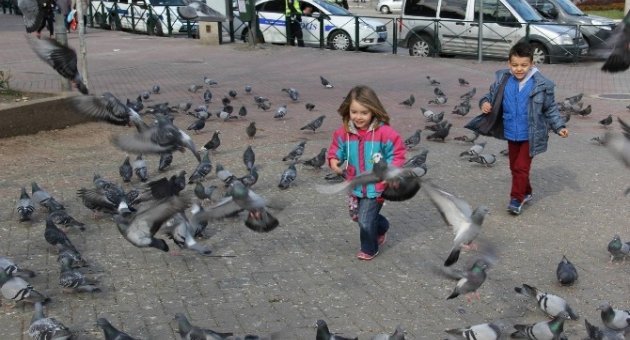 (özel Haber) Güvercinler Çocukların Neşe Kaynağı