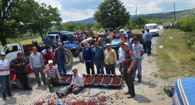 (özel Haber) İhracat Yapamayan Kiraz Üreticileri Yol Kapattı