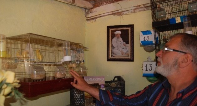 (özel Haber) Kanarya Sesi İle Hayata Tutundu