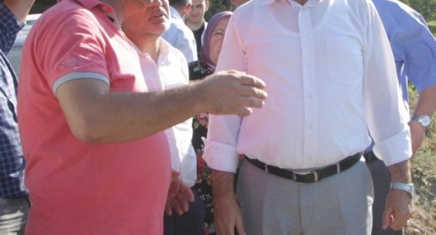 (özel Haber) Köylüler Yanan Ormanlara Dikilen Fıstık Çamlarından Para Kazanacak