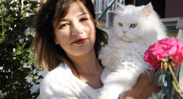 (özel Haber) Maviş’in Zaferi Tüm Kedilere Emsal Oldu