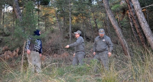 (özel Haber) Orman Memurları Çam Nöbetinde