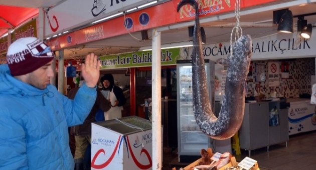 (özel Haber) Piton Gibi Balık