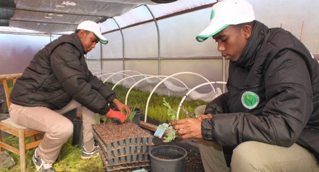(özel Haber) Ziraat Ve Tarım Lisesi’nin Somalili Öğrencileri