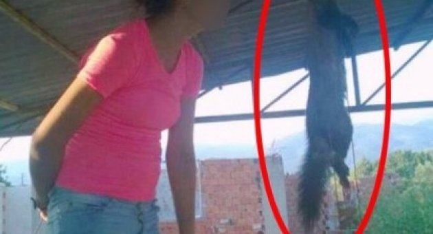 (özel) Kediyi Asıp Gözdağı Veren Liseli Kıza Bakın Kaç Para Ceza Geldi