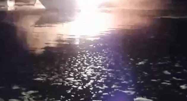 (özel) Patlayan Tekne Alev Topuna Döndü