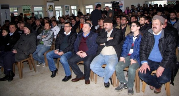 (özel-haber) Süs Tavukları Açık Artırmada Rekor Fiyata Alıcı Buldu