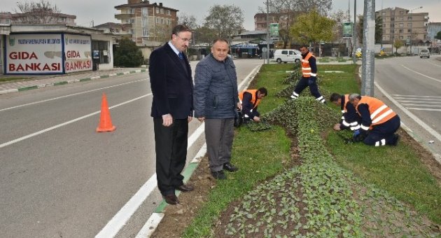 Park Ve Bahçeler Emin Ellerde