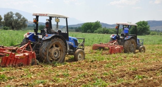 Patates Fiyatı Düştü, Üreticiyi İthalat Korkusu Sardı