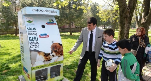Pet Şişeyi Kutuya Koyanın Kedisine Mama Bedava…