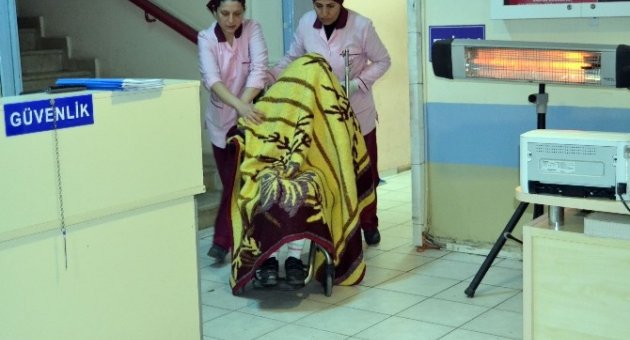 Pitbull İle Korkuttuğu Sevgilisine Cinsel Saldırıda Bulunan Şahıs Tutuklandı