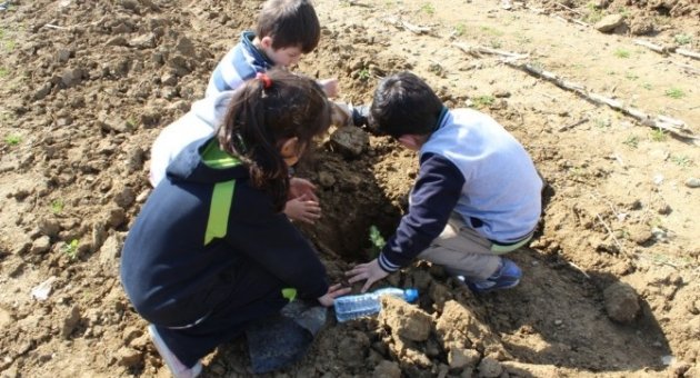 Safvet Koleji Öğrencileri Fidan Dikti