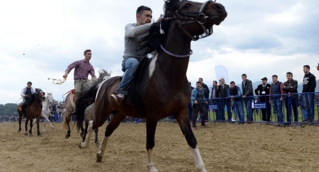 Sağlık Bakanı Müezzinoğlu Rahvan Atı Yarışlarında Dereceye Girenleri Ödüllendirdi